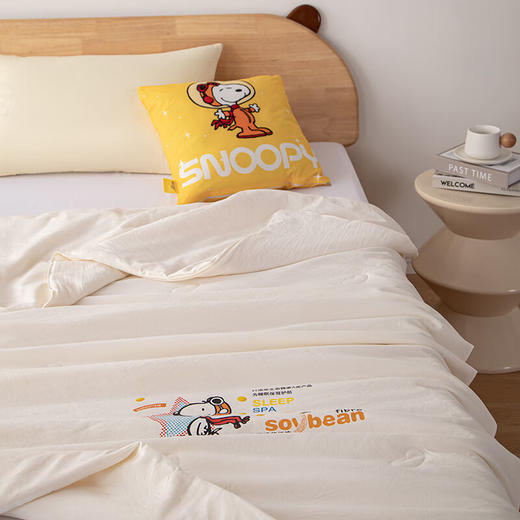史努比大豆纤维被芯 亲肤大豆被 夏凉被 SNB07-310    XHR 商品图2