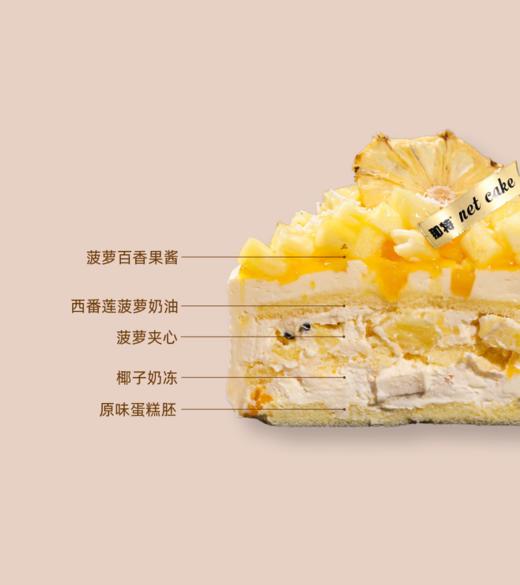 「4寸」泰兰德的夏天 商品图1