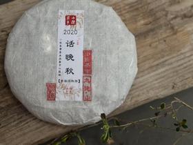 【买8送1】5年陈深秋饼2020寒露饼《话晚秋》，zui天然的枣香、zui纯粹的醇甜（10饼收藏装）