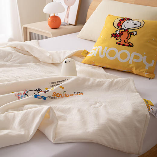 史努比大豆纤维被芯 亲肤大豆被 夏凉被 SNB07-310    XHR 商品图4