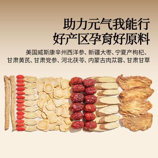 【正宗同仁堂品牌】北京同仁堂  造养青年 西洋参黄芪党参饮  175ml(25ml×7)  助力元气 便携随饮SY 商品图8
