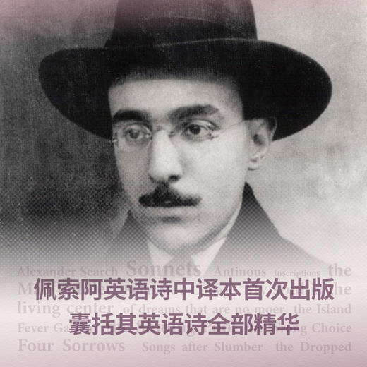 厌倦了爱 沉默的经典系列 诗歌巨匠佩索阿经典诗集 一面骂醒恋爱脑一面把爱的渴望写成史诗 孤独者精神伴侣i人灵魂宣言 世纪文景 商品图3
