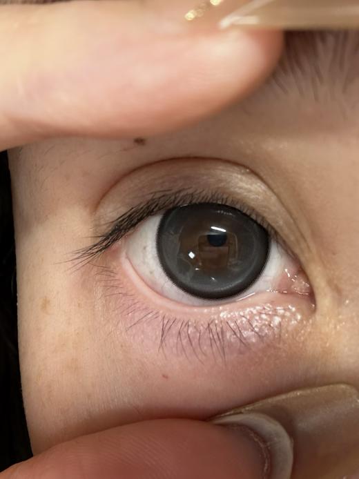 Serltyca日抛-夜明珠(黑色外圈儿灰色内圈儿） 商品图5