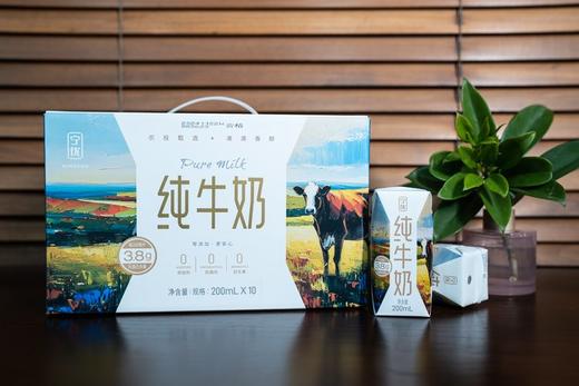 【牛奶热榜第一】【99元到手4箱】力荐  限时限量政府补贴款  买三赠一 到手4箱    宁优画系列之・孺子牛・3.8高蛋白纯牛奶 一款满是好评的纯牛奶 商品图4