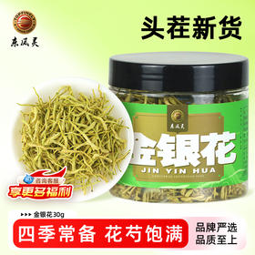 【金银花】双生密蕊 清香沁心  限时尝鲜