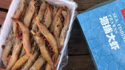 香蕉虾  纯野生捕捞虾壳透亮泛虹光 一口咬出野生虾独有的鲜甜浓香  生长在南海的虾中贵族 商品图10