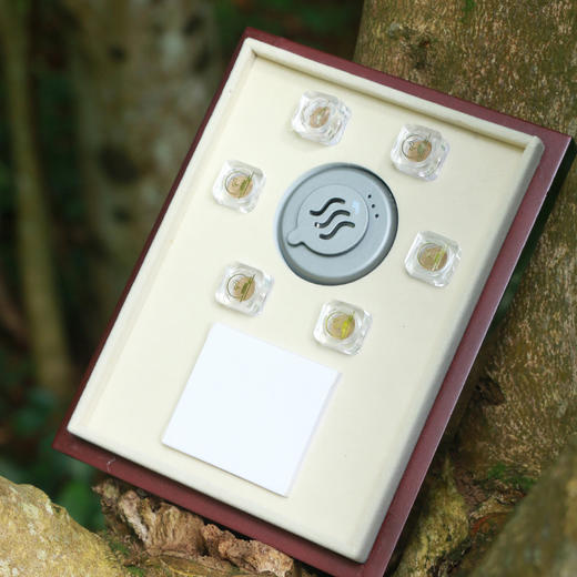 香悦251/沉香粉片套装 商品图5