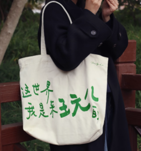 【已绝版】焦野绿帆布包-这个世界我是来玩儿的