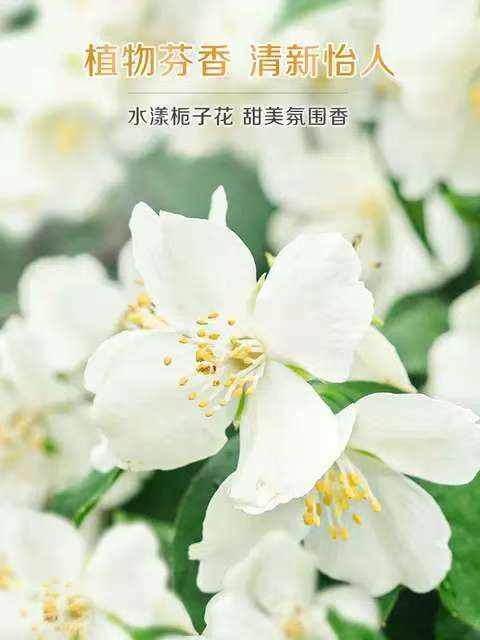 立白精品天然洗衣精华皂栀子花去味除菌护衣植物芬香家用洁净肥皂 商品图3