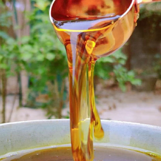 【农家菜籽油】新菜籽 共5瓶（1斤/瓶）热榨 商品图1