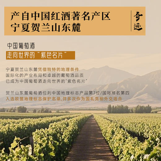 【国际马拉松官方指定用酒】奇迹酒庄·508红葡萄酒  中国葡萄酒第一镇 10个月橡木桶陈酿 14%vol 商品图1