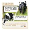 皇氏乳业 皇氏水牛低脂纯牛奶200mL*10盒 整箱 商品缩略图5