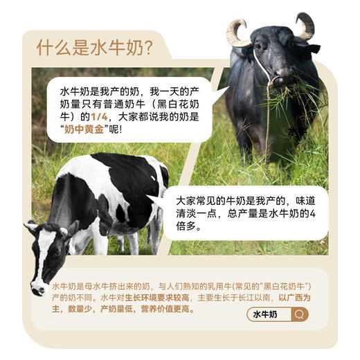 皇氏乳业 皇氏水牛低脂纯牛奶200mL*10盒 整箱 商品图5