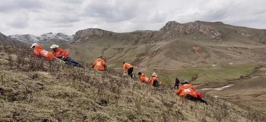 正安好礼 野生冬虫夏草 来自青海的好虫草 人工寻采 高海拔高品质【不可用券】【因为虫草为新鲜产品，无质量问题不可拒收，不可换货】 商品图12