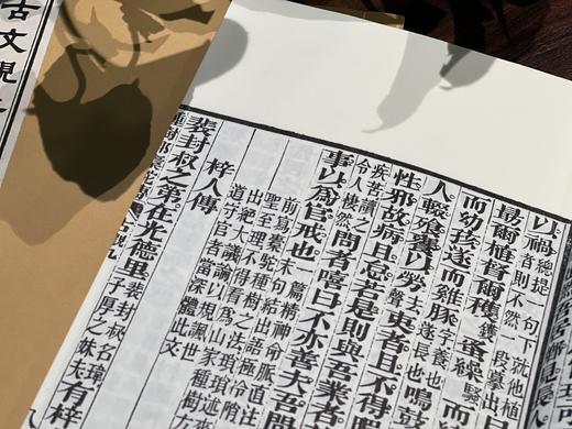 清光绪李光明庄的状元阁本《古文观止》 商品图10