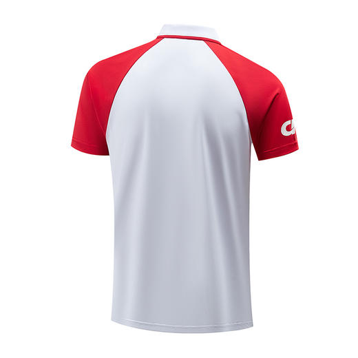 2025新款运动polo短袖短裤套装 商品图7