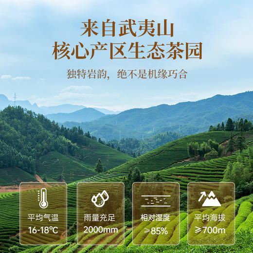 【买一送一】华祥苑-星时光武夷山核心产区大红袍到手232g自饮 商品图1