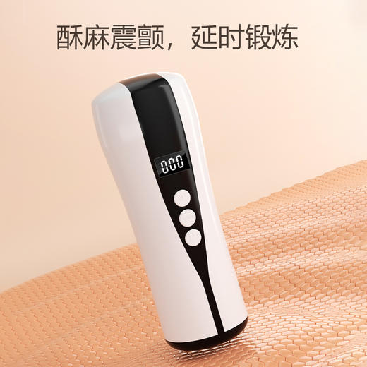 【视频简介】爱恋飞机杯（计数训练） 商品图2