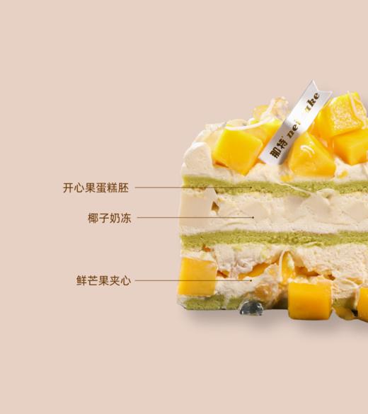 椰子芒果 商品图1