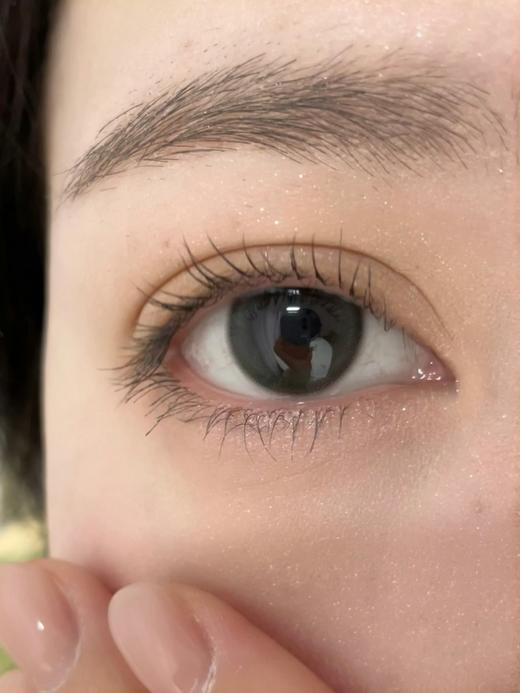 Serltyca半年抛-淡颜黑 商品图4