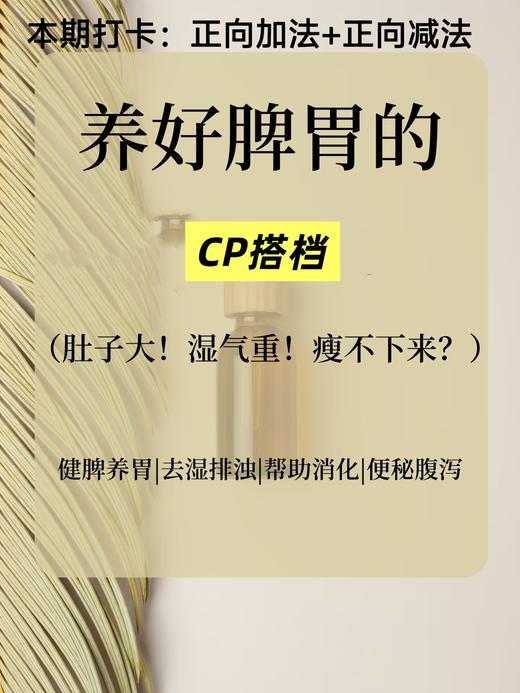 健康养好脾胃 商品图0