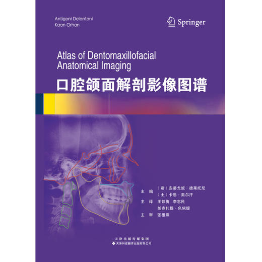 口腔颌面解剖影像图谱 商品图2