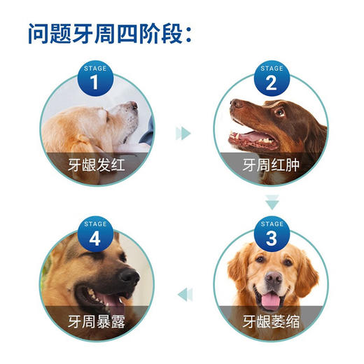 【法国维克】牙膏 适用于猫/小型犬  宠物牙膏套装  刷牙结石 缓解口臭 宠物牙膏可食用 商品图3