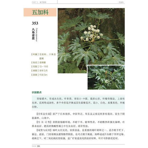 《600种郊野植物图鉴》 商品图9