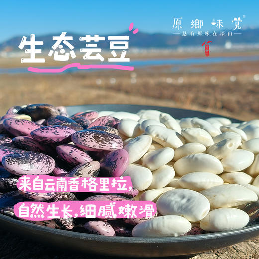 高原生态芸豆（成都仓库-顺丰快递 ）|  白芸豆500g/袋，紫芸豆500g/袋，来自云南香格里拉，生产者：李忠青【合作生产，公平贸易】 商品图0
