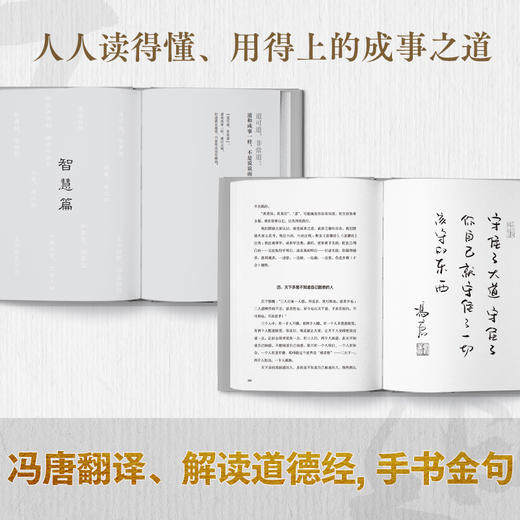 正道 冯唐 商品图2