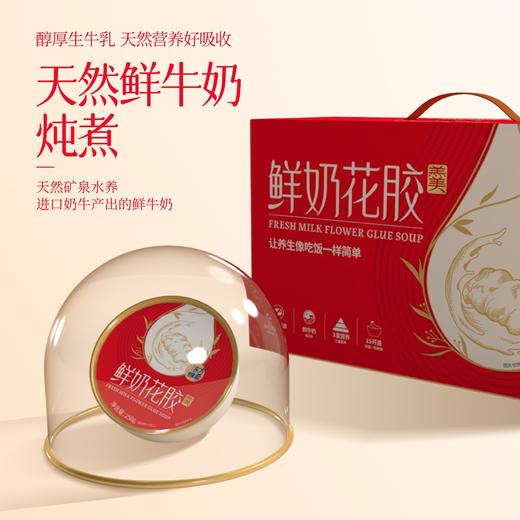 鲜奶花胶（家庭款） 商品图1