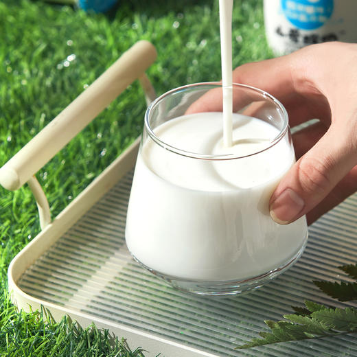 皇氏乳业 小爱低温酸奶 180g*12瓶 商品图2