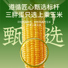 三胖蛋甜糯玉米单袋装228g（单只） 商品缩略图4
