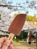 认养一头牛生巧口味雪糕 商品缩略图1