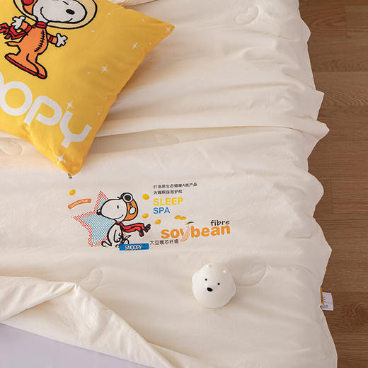 史努比大豆纤维被芯 亲肤大豆被 夏凉被 SNB07-310    XHR 商品图3