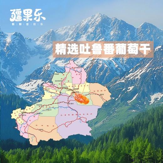 新疆喀什疆果乐玫瑰香葡萄干260g/袋 商品图1