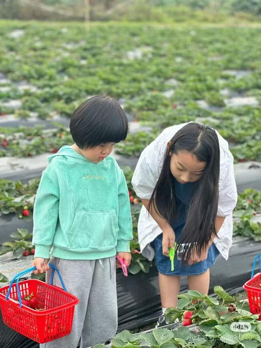 CV2242117PS-003-ECN 商品图1