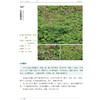 《600种郊野植物图鉴》 商品缩略图11