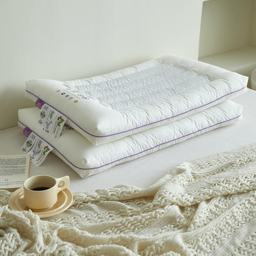 A类全棉草本荞麦枕  薰衣草荞麦护颈枕 商品图3