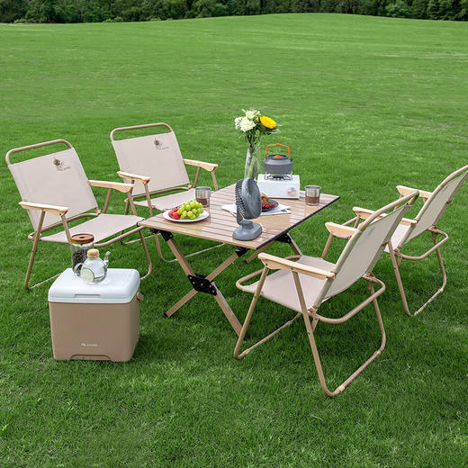 大迈蛋卷折叠桌 DM-2012 热带棕 商品图1