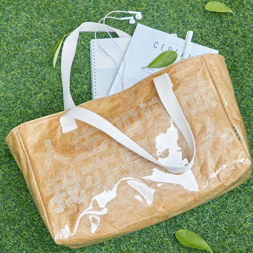 南周文创阅读系列手提袋-苏轼款（杏色） 商品图1