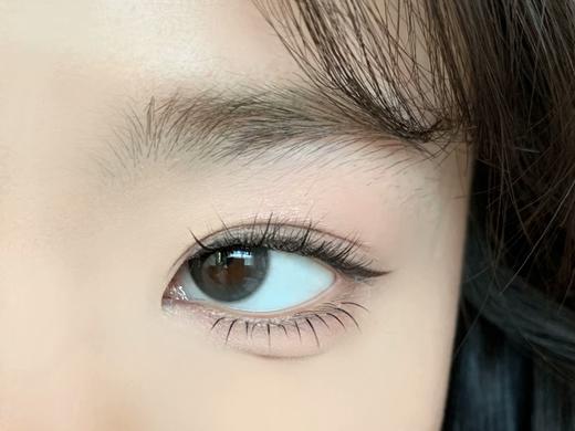 Serltyca半年抛-淡颜黑 商品图1