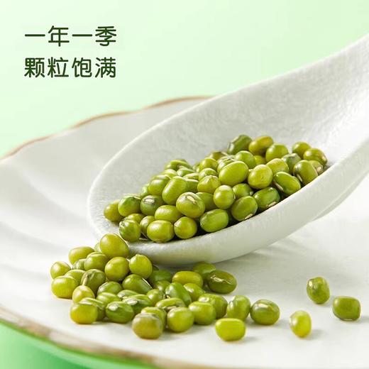 【特惠】十月稻田绿豆500g/袋 商品图2