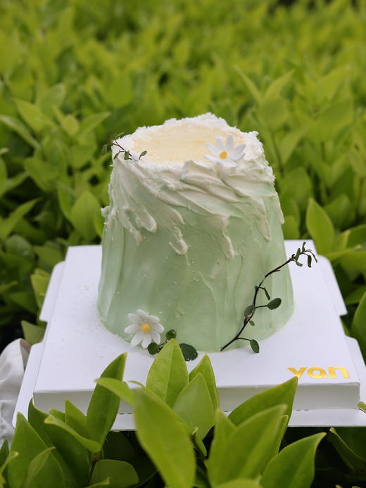 上春山系列-绿野仙踪 商品图0