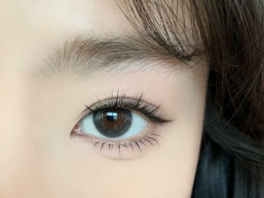 Serltyca半年抛-淡颜黑 商品图2