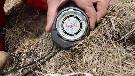 正安好礼 野生冬虫夏草 来自青海的好虫草 人工寻采 高海拔高品质【不可用券】【因为虫草为新鲜产品，无质量问题不可拒收，不可换货】 商品图11