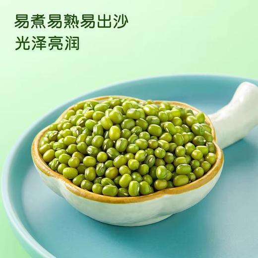 【特惠】十月稻田绿豆500g/袋 商品图1