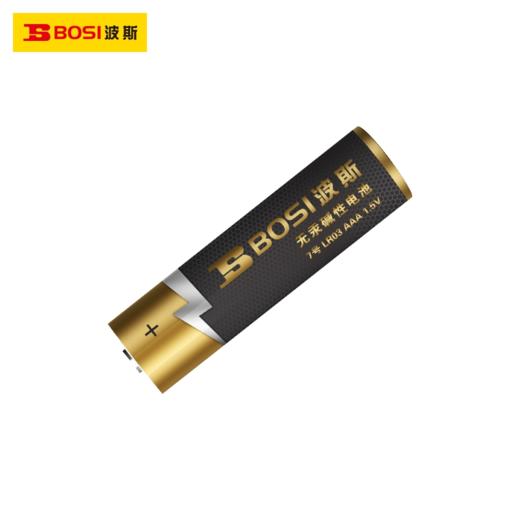 波斯 家用电池 商品图0