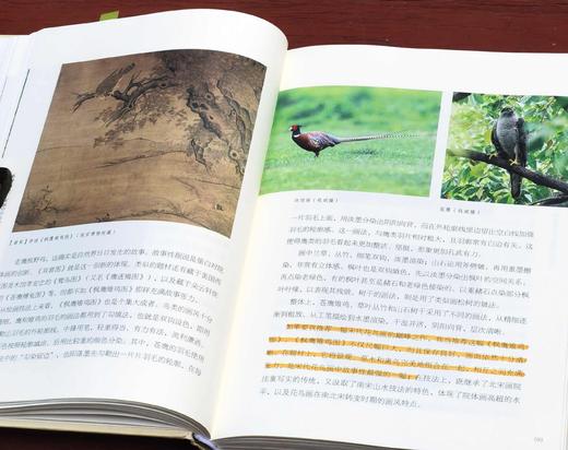 特装！！《形理两全：宋画中的鸟类》，签名本，陈水华 著，小16开，精装，308页，浙江古籍出版社2024年2月一版。定价138，特装签名版138元。 商品图12