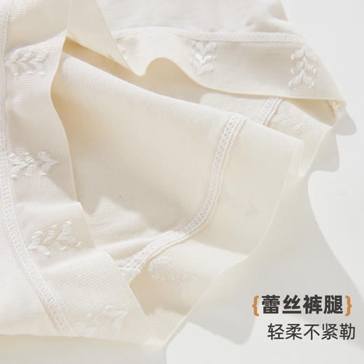 【3条装】雅黛俪莫代尔女士内裤柔软舒适透气纯棉裆底三角裤不夹臀蕾丝提花裤头 商品图9
